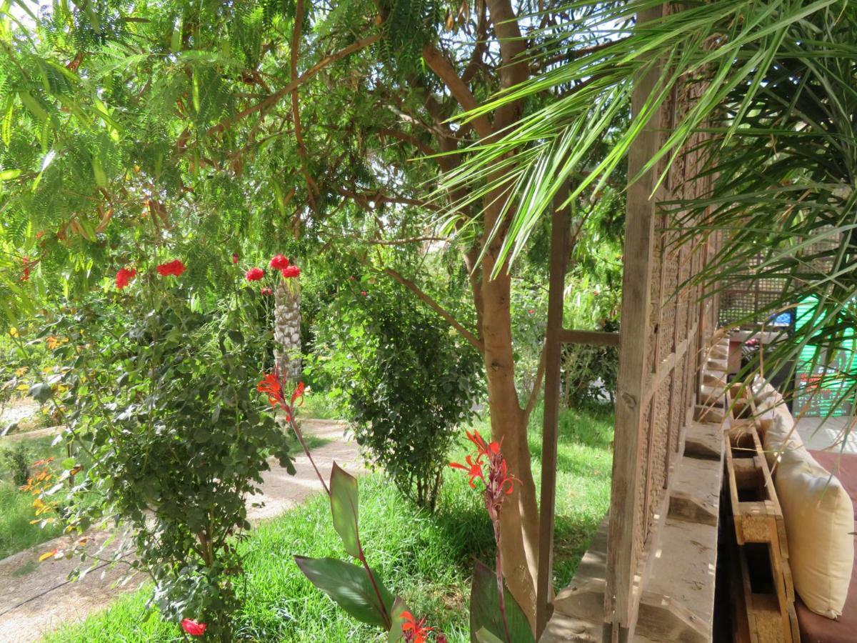 ibis Tlemcen Otel Dış mekan fotoğraf